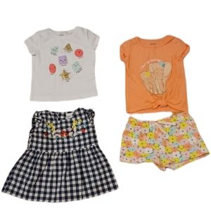 Carter's Baby Girl Bundle Size 18M